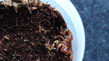 Invert Room Update January 2015