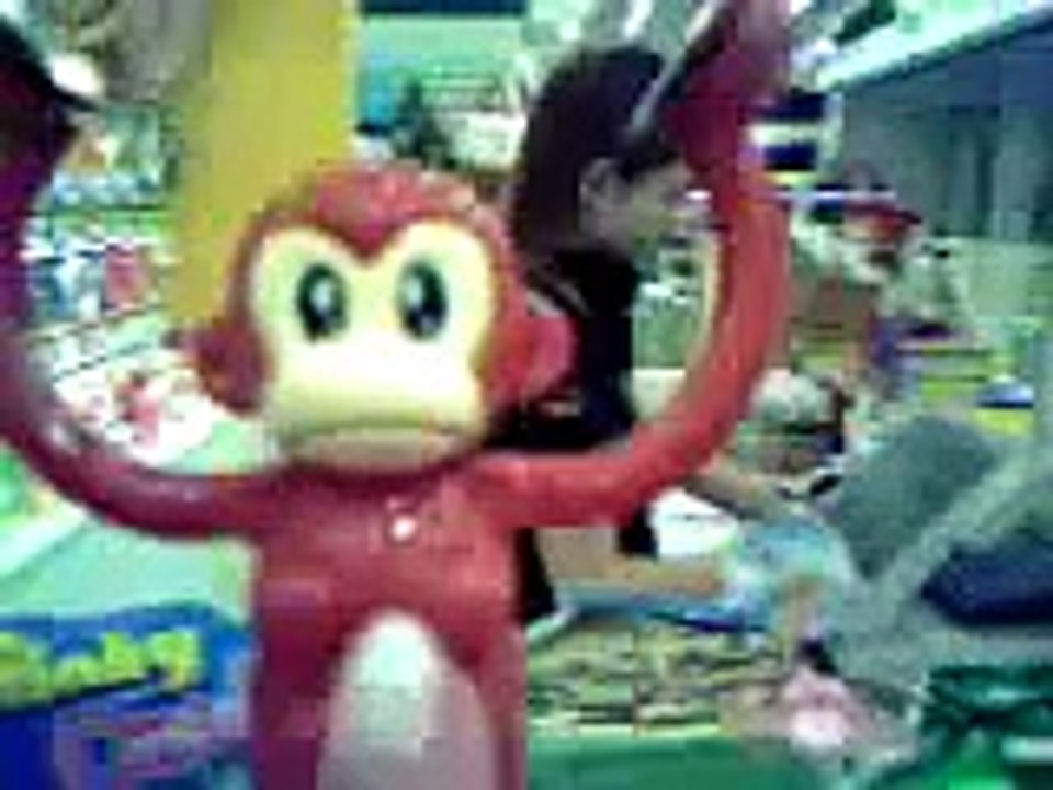 monkey suying