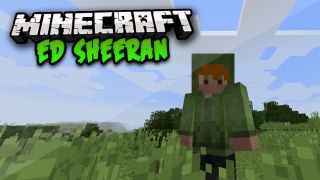 Minecraft | ED SHEERAN | 1.8.3| Skin Showcase