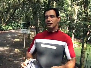 Anta com mais de 320kg - ARQUIVO CELSO CAVALLINI (Giant Tapir)