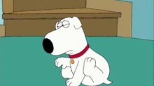 Ass race Family Guy