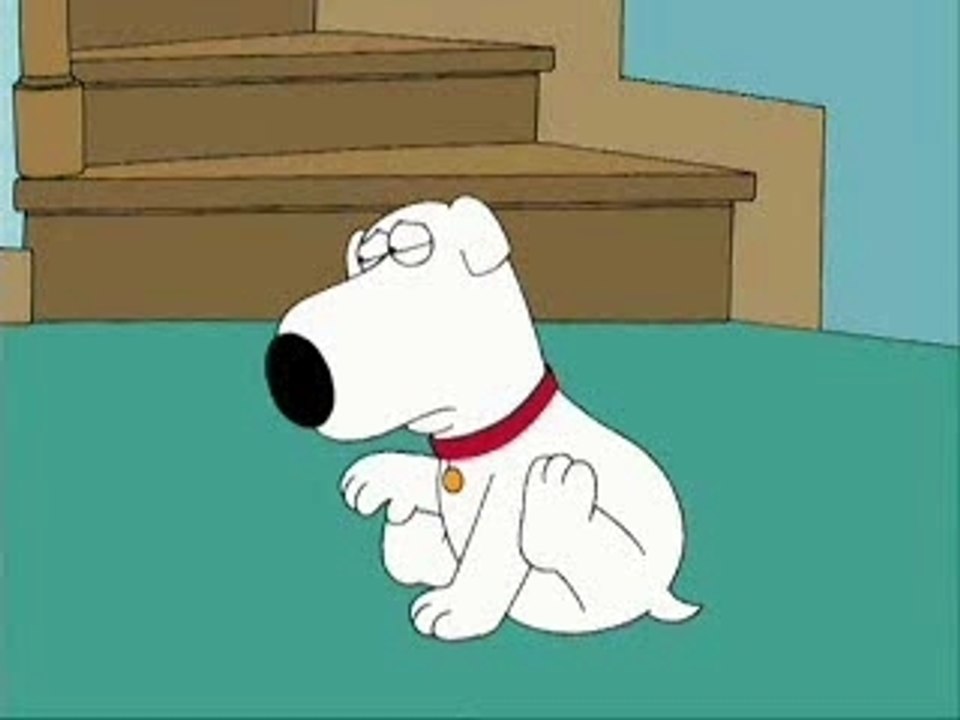 Ass race Family Guy