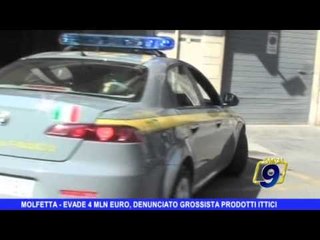 MOLFETTA | Evade 4 mln di euro, denunciato grossista prodotti ittici