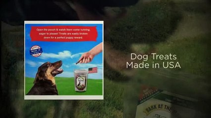 Healthy Dog Treats - Green Butterfly Brands