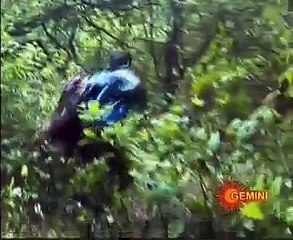 20150620-230023-60_2