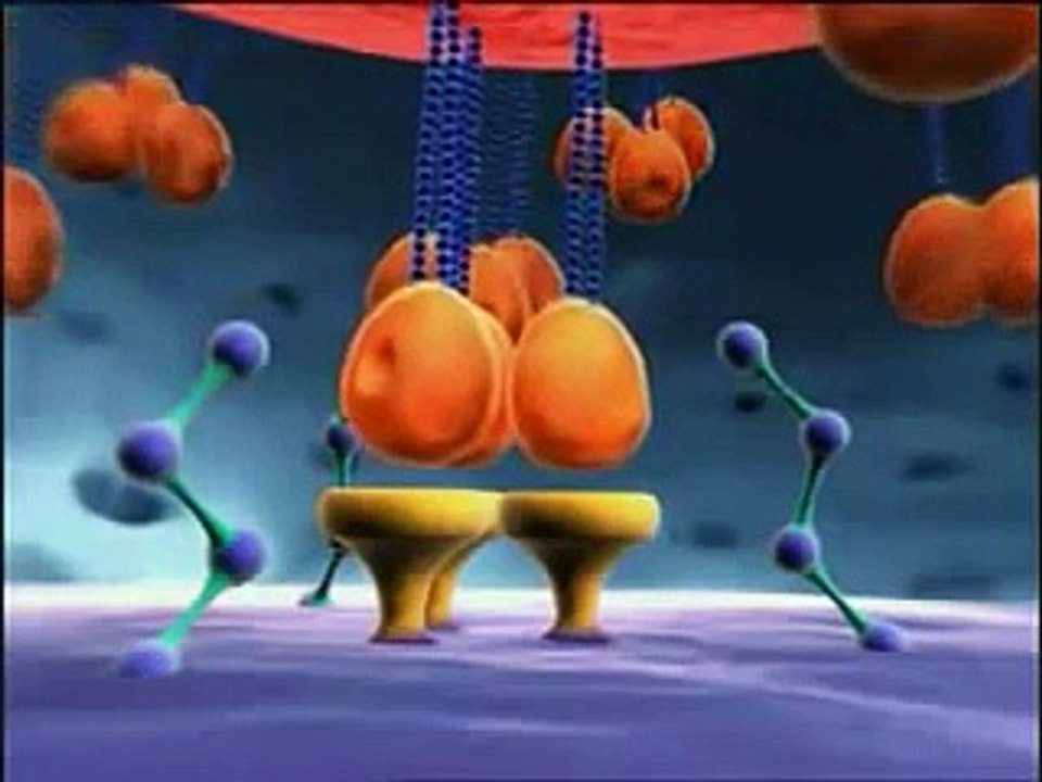 Targeting HIV replication