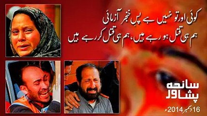 Hum He Qatal Ho Rahe Hen Hum He Qatal Ker Rahe Hen