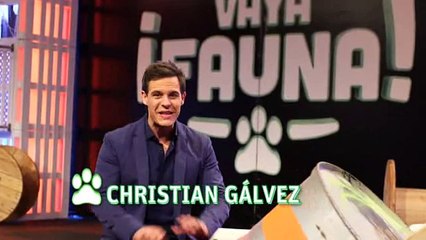 Promo '¡Vaya fauna!' (Telecinco) / 1