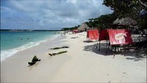 Panoramic View of Playa Blanca Beach & Boat to Cartagena