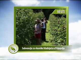 VESTI - Subvencije za vlasnike hladnjača u Prijepolju