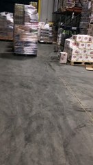 Après avoir visité un entrepôt de bière, ce raton laveur a fini complètement bourré !