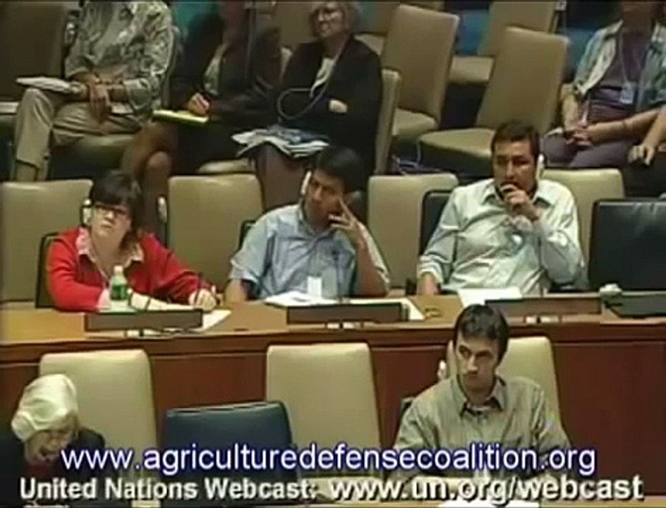 Rosalind Peterson addresses the UN on Chemtrails And Geoengineering