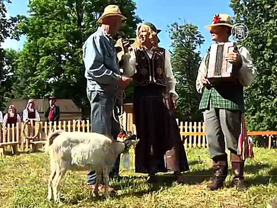 Литва: конкурс на самую гламурную козу