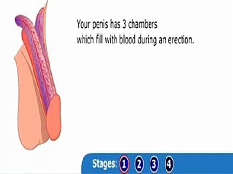 herbal Vimax pills in Pakistan call 03111200950