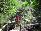 Costa Rica Wildlife Sanctuary-Capuchin Monkeys