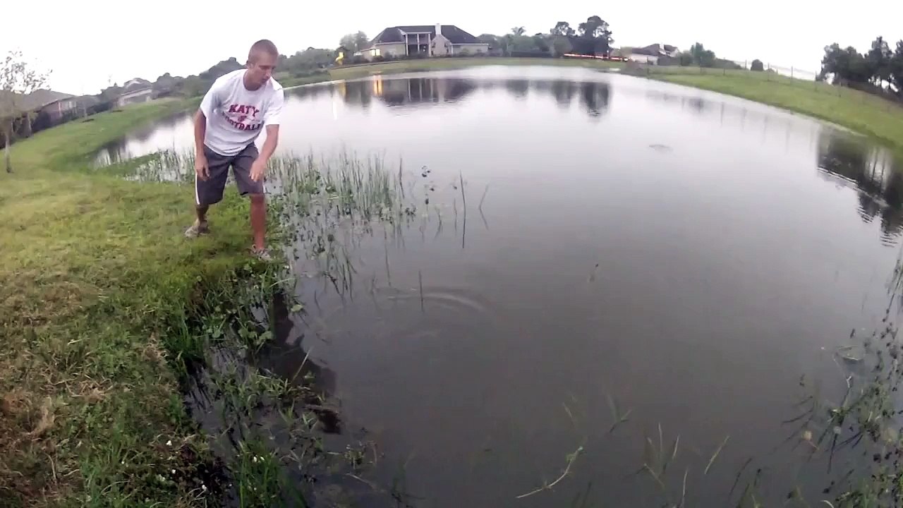Catfish Jumping!