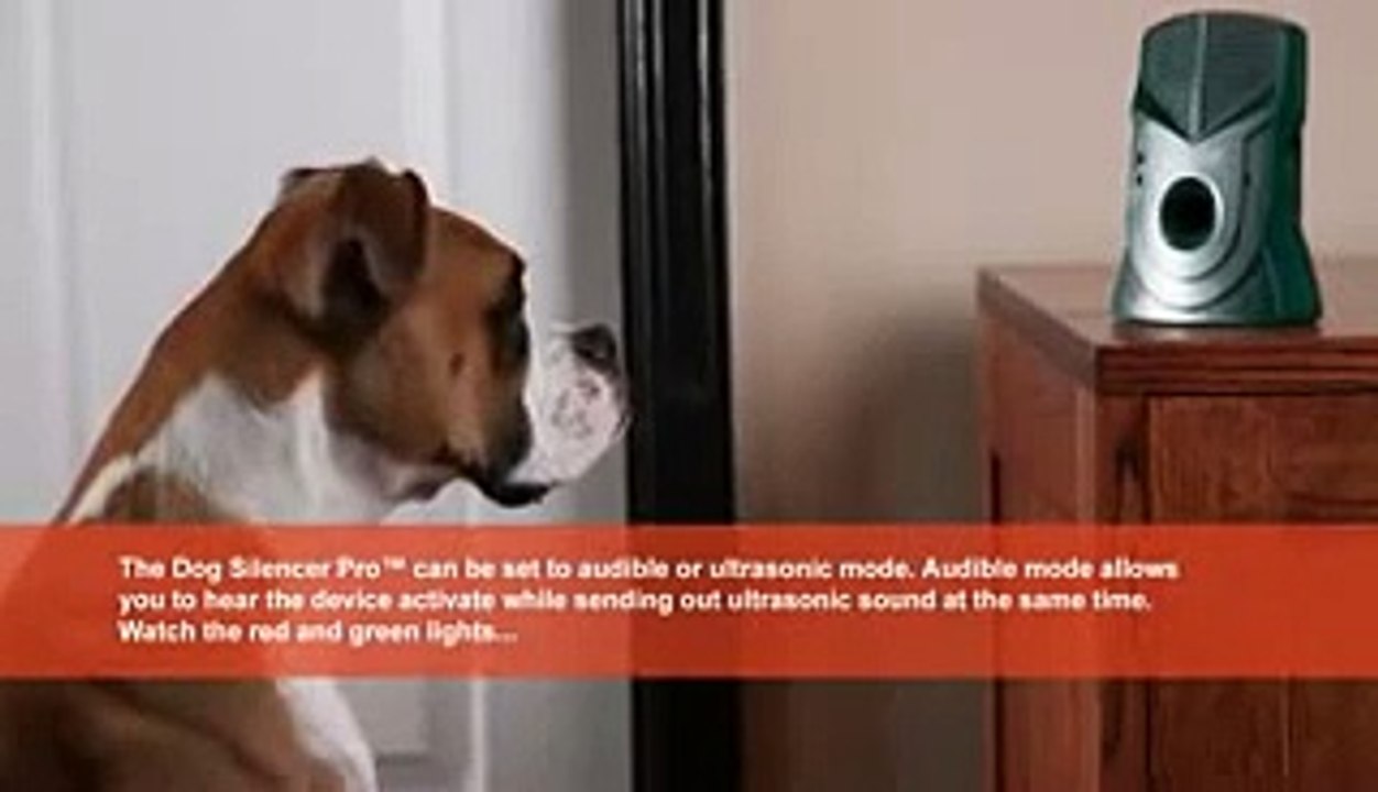Stop dog barking when left alone