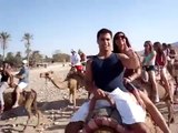 Volta de Camelo pelo deserto do Négev em Israel - Taglit Summer 2009