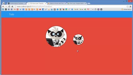 Tutoriel : CSS Hover avec Transition
