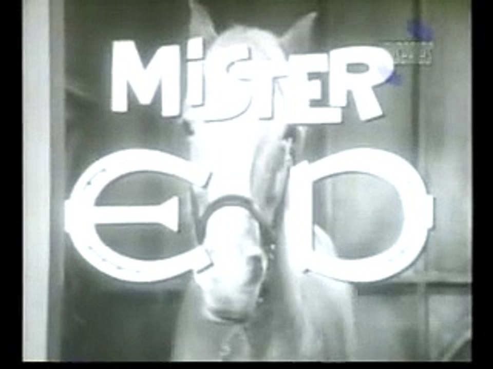Mr Ed inicio en Español