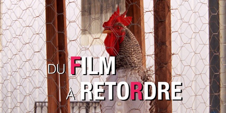 Crise, érections et incendies : l'étrange monde des Mille et une nuits