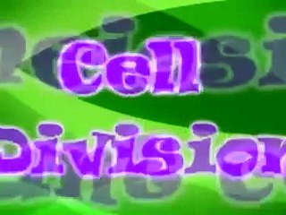 Meiosis Cell Division Plant Cell