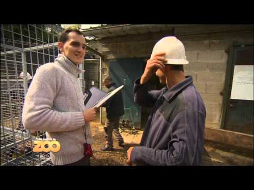 Une saison au zoo - Episode 38 (Saison 1)