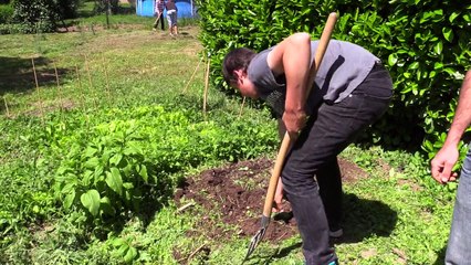 Le programme Eco collèges 81