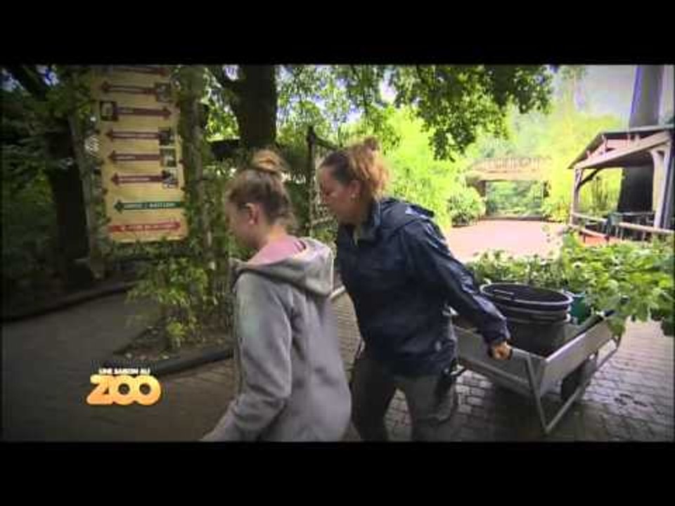 Une saison au zoo - Episode 16 (Saison 2)