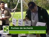 MANEJO PURINES DE LECHERIA
