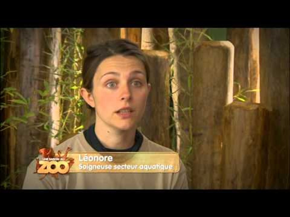 Une saison au zoo - Episode 5 (Saison 1)