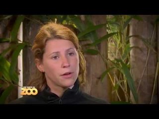 Une saison au zoo - Episode 42 (Saison 3)