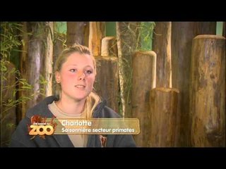 Une saison au zoo - Episode 10 (Saison 1)