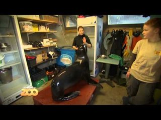 Une saison au zoo - Episode 28 (Saison 3)