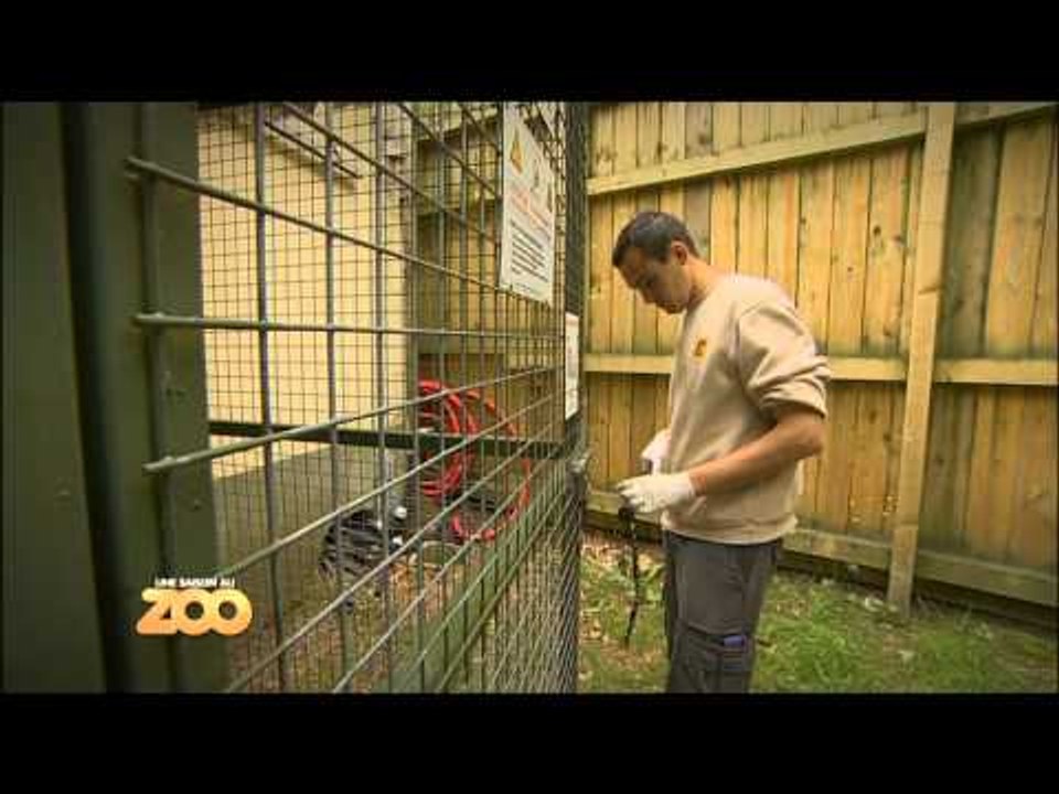 Une saison au zoo - Episode 40 (Saison 1)