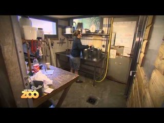 Une saison au zoo - Episode 29 (Saison 3)