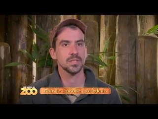 Une saison au zoo - Episode 17 (Saison 3)