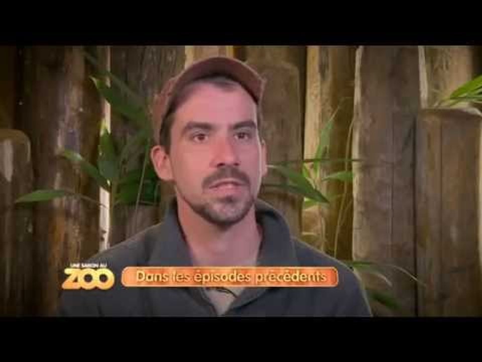 Une saison au zoo - Episode 17 (Saison 3)