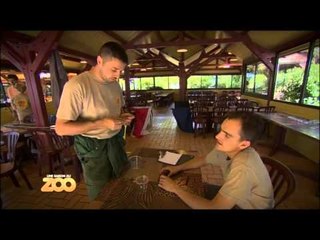 Une saison au zoo - Episode 44 (Saison 2)