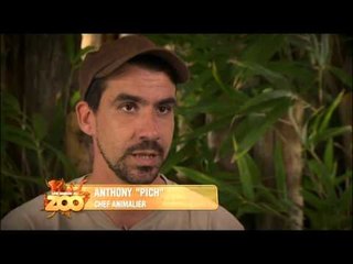 Une saison au zoo - Episode 40 (Saison 2)