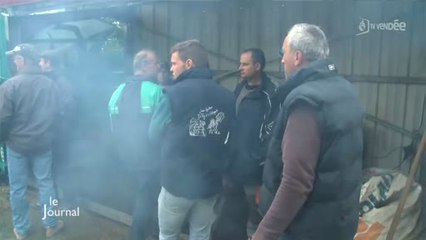 Viande bovine : Les agriculteurs font pression (Vendée)