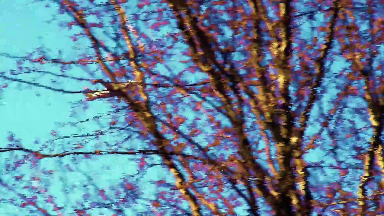 Lilly Wood and The Prick - Shadows