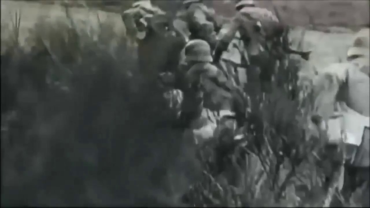 Triarii - Iron Fields