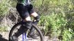 Mountain Unicycling with new Kris Holm 36er!