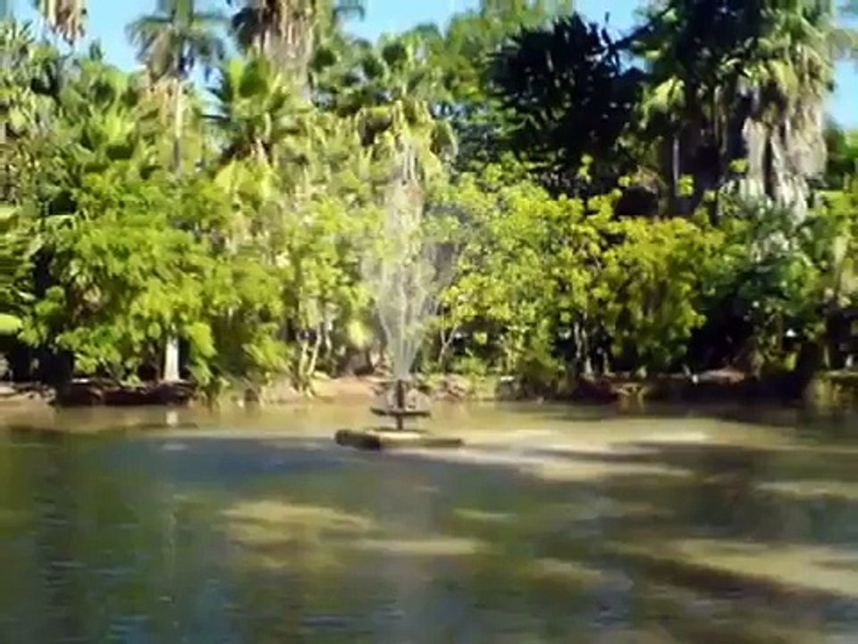 Caballo blanco
