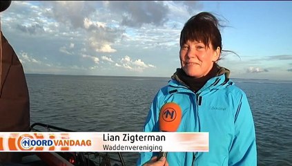 Van de lente naar de zomer op het wad - RTV Noord