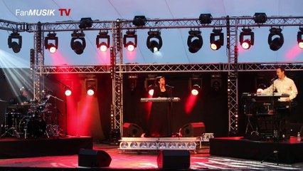 Cock Robin -  20 juin 2015 - Thiais