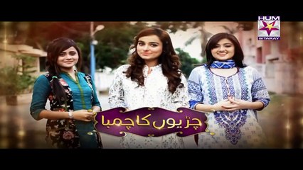 Chirryon Ka Chamba Episode 41 - 22 June 2015 - Hum Sitarey