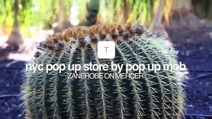 Zane Robe on Mercer by Pop Up Mob