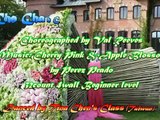 Cherry Blossom Cha Cha - Line Dance (Demo & Walk Through)
